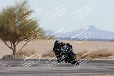 media/Nov-30-2025-TrackXperience (Sun) [[c0061d280f]]/2-Level 2/Session 6 Turn 4 Tree of Life/